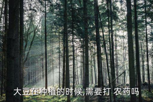 大豆在種植的時候,需要打 農藥嗎