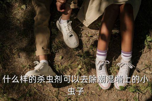 宿舍滅蟲用什么農藥,不用農藥用什么方法可以滅蟲