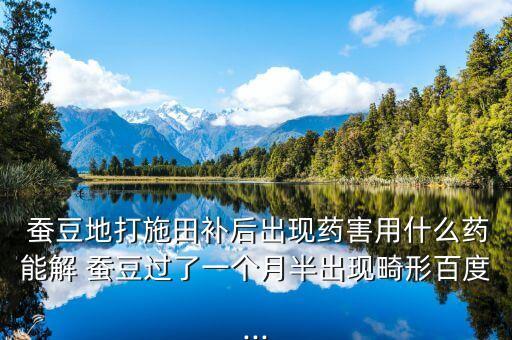 蠶豆地打施田補(bǔ)后出現(xiàn)藥害用什么藥能解 蠶豆過了一個月半出現(xiàn)畸形百度...