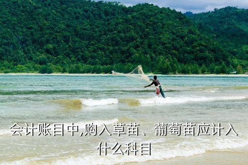 會計賬目中,購入草苗、葡萄苗應計入什么科目