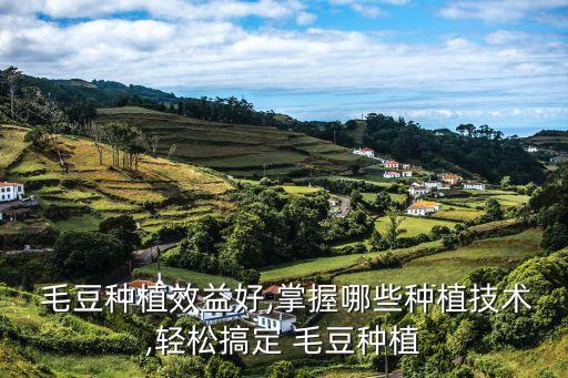 毛豆什么時(shí)候打農(nóng)藥好,毛豆農(nóng)藥什么時(shí)候打最合適