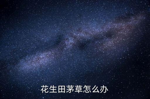 花生田茅草怎么辦