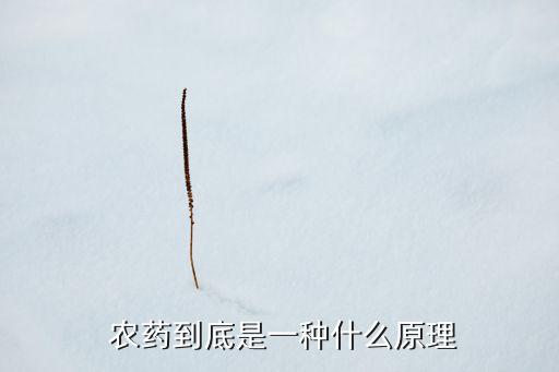 農藥到底是一種什么原理