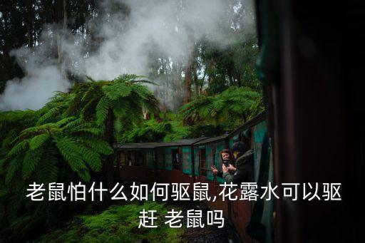 老鼠最怕什么農(nóng)藥有種,老鼠怕什么農(nóng)藥氣味