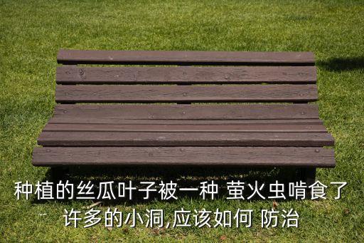 用什么農藥防治根除螢火蟲,螢火蟲用什么農藥效果好?