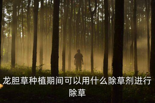 龍膽草種植期間可以用什么除草劑進(jìn)行除草