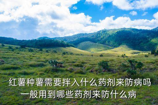  紅薯種薯需要拌入什么藥劑來防病嗎一般用到哪些藥劑來防什么病