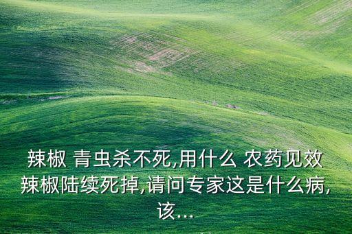 什么農(nóng)藥殺菜青蟲好用,不用農(nóng)藥殺菜青蟲的方法