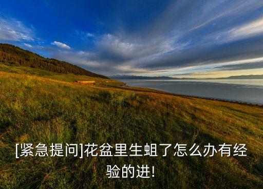 [緊急提問]花盆里生蛆了怎么辦有經驗的進!