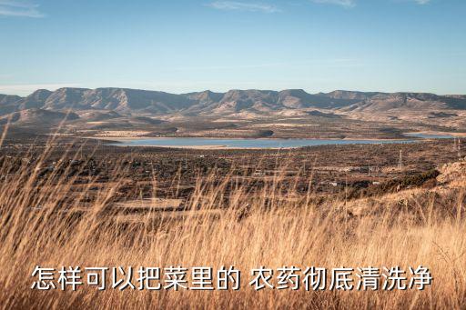 洗蔬菜用什么洗去農藥,去除農藥殘留最好的方法