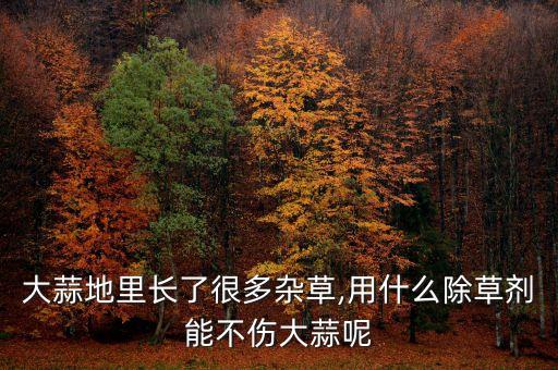 種蒜后用什么農藥好,種玉米打什么農藥