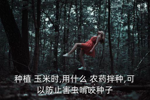 長春玉米用什么打農藥,玉米后期用什么農藥