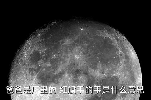 爸爸是廠里的 紅旗手的手是什么意思