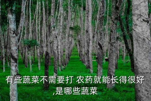 家里有什么菜不用買農藥,家里不用的布可以做成什么