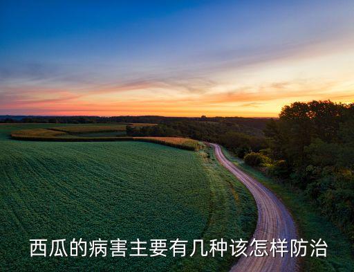 什么農(nóng)藥能增強西瓜抗病,西瓜蟲用什么農(nóng)藥比較好