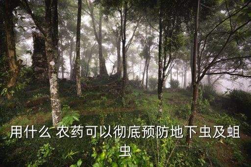 土豆蛆用什么農藥,韭蛆用什么農藥可以殺死