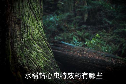 水稻病蟲害用什么農(nóng)藥,水稻打什么農(nóng)藥