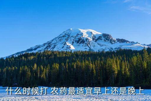 什么時候打 農藥最適宜早上還是晚上