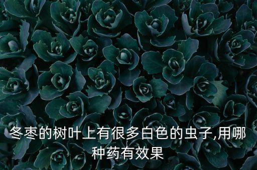 棗子生蟲用什么農(nóng)藥,棗子蟲長什么樣子