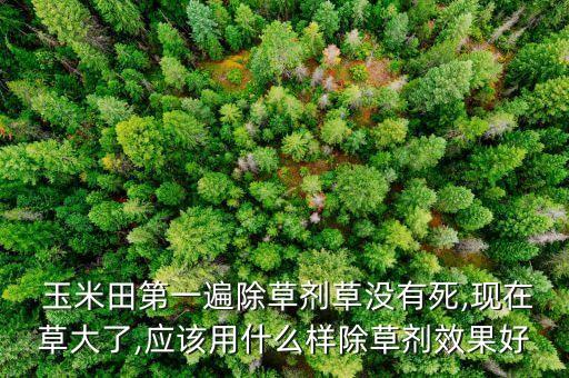玉米田第一遍除草劑草沒有死,現在草大了,應該用什么樣除草劑效果好
