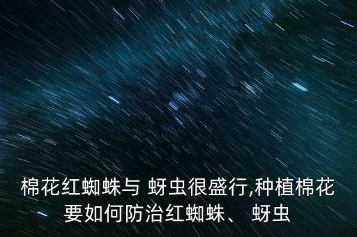 棉花紅蜘蛛與 蚜蟲很盛行,種植棉花要如何防治紅蜘蛛、 蚜蟲