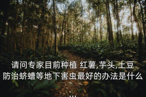 請問專家目前種植 紅薯,芋頭,土豆防治蠐螬等地下害蟲最好的辦法是什么...