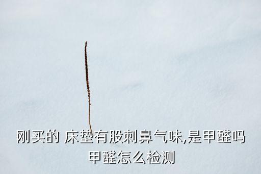 為什么床墊子有農藥味,床墊子為什么比床還貴