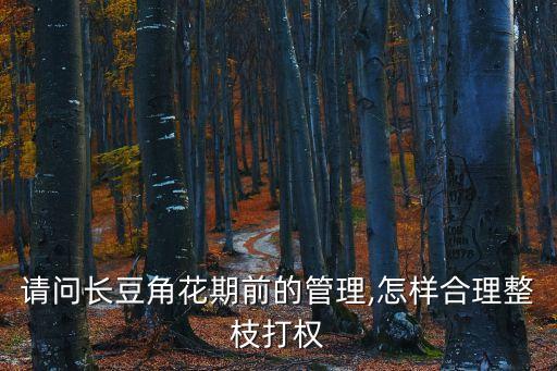 請問長豆角花期前的管理,怎樣合理整枝打權