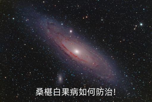 桑葚會使用什么農(nóng)藥,桑葚打什么農(nóng)藥最好