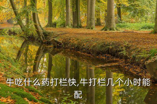 牛吃什么藥打欄快,牛打欄幾個小時能配