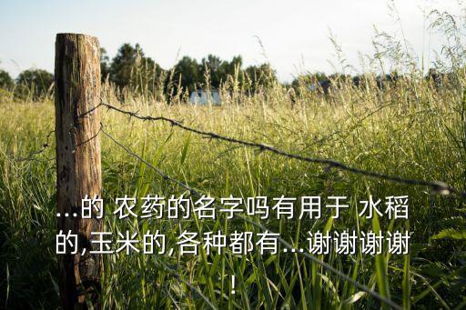 水稻農藥都有什么,什么農藥對水稻傷害最大