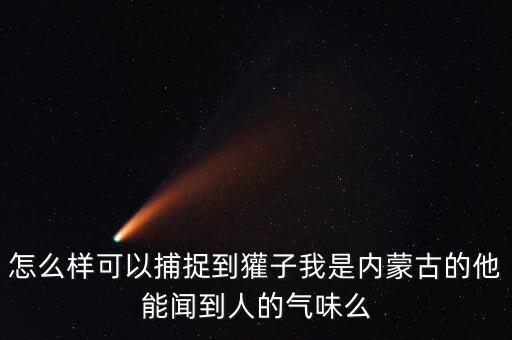 怎么樣可以捕捉到獾子我是內蒙古的他能聞到人的氣味么