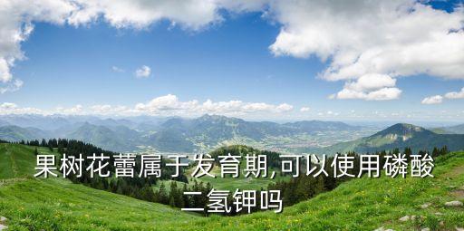 果樹花期不能噴什么農藥