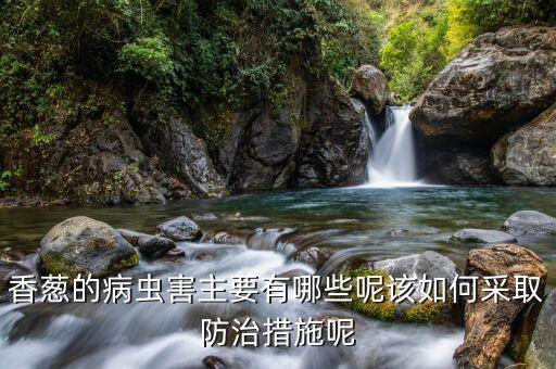 香蔥的病蟲害主要有哪些呢該如何采取防治措施呢