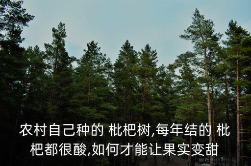 枇杷打什么農藥果果光滑,枇杷花期用什么農藥