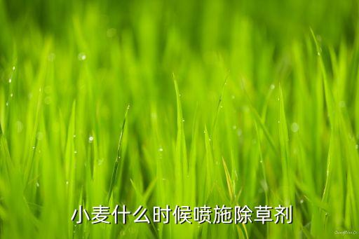 小麥什么時候開始打農(nóng)藥