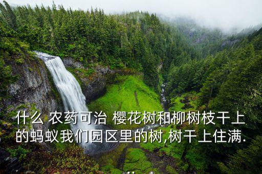 櫻花葉片對什么農藥好,櫻花的葉片像什么