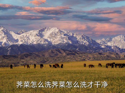 薺-菜腐爛用什么農(nóng)藥,防蘋果腐爛用什么農(nóng)藥