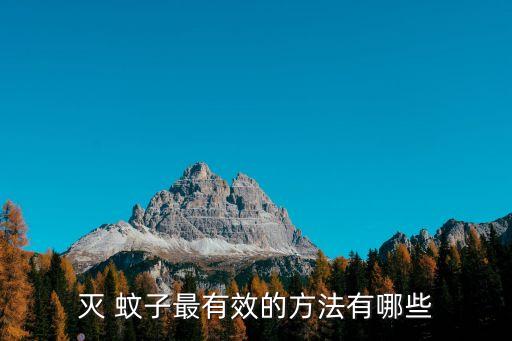 滅 蚊子最有效的方法有哪些