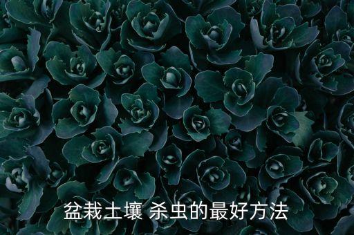 盆栽土壤 殺蟲的最好方法