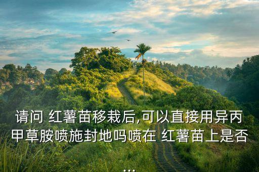 請問 紅薯苗移栽后,可以直接用異丙甲草胺噴施封地嗎噴在 紅薯苗上是否...