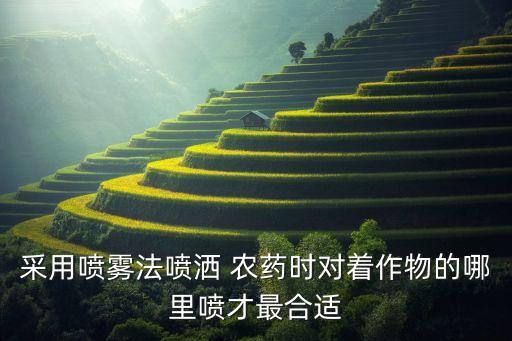 采用噴霧法噴灑 農(nóng)藥時對著作物的哪里噴才最合適