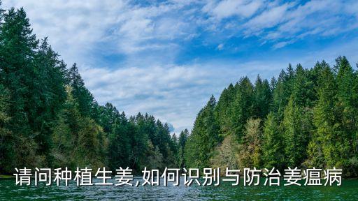 請問種植生姜,如何識別與防治姜瘟病