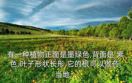 紫色的農藥叫什么,以前農藥都叫什么名字