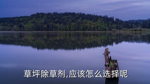 草坪有雜草打什么農(nóng)藥有用