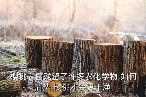  櫻桃表面殘留了許多農(nóng)化學(xué)物,如何清洗 櫻桃才會更干凈