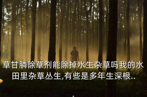 連心草用什么農藥,什么農藥能把草徹底殺死