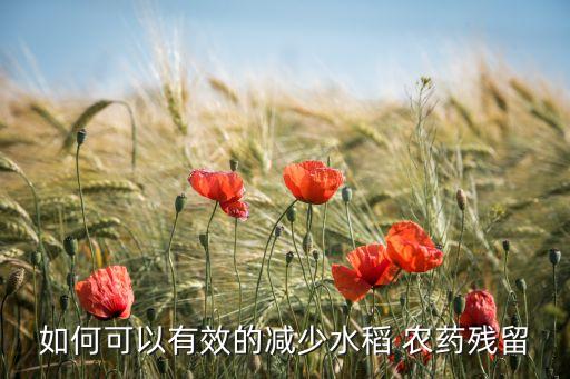 如何可以有效的減少水稻 農藥殘留