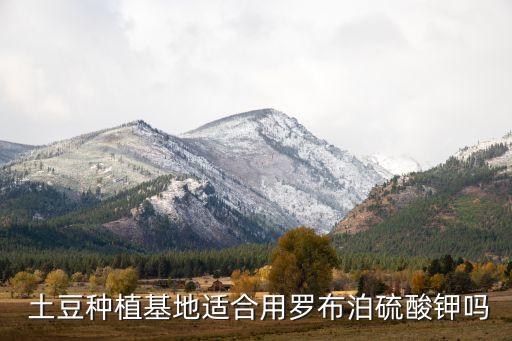  土豆種植基地適合用羅布泊硫酸鉀嗎
