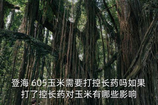 農藥605是什么,喝農藥的過程是什么感覺